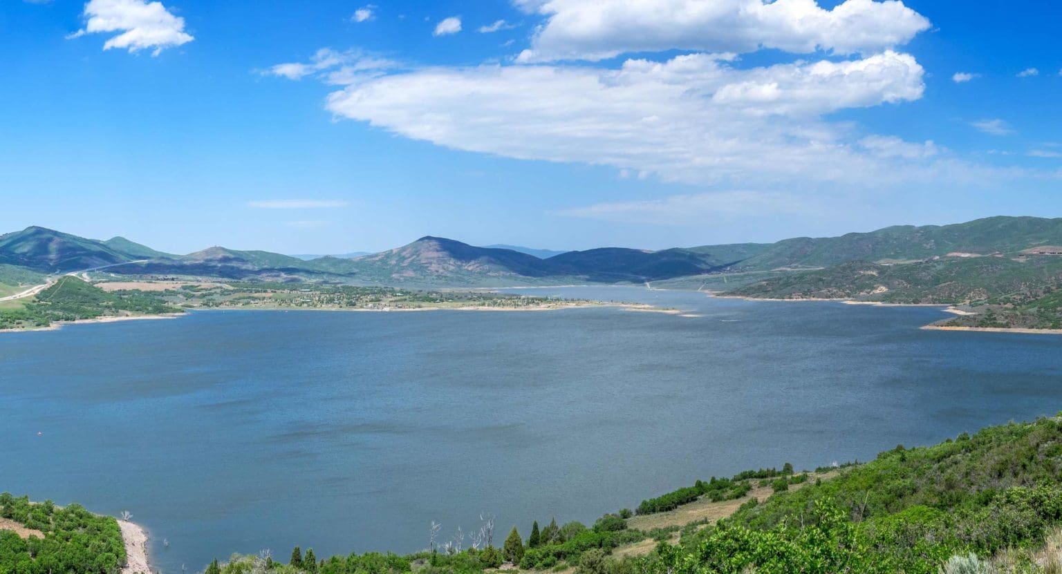 ChinFlemingHarris Stays On Top! CFH